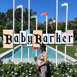 Marvelous Pregnant Travis Barker Have Disneyland Themed Baby