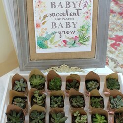 Cool Baby Shower Take Home Favors Perfect For Greenery Floral Succulents Souvenirs