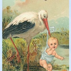 Splendid Lilac Lavender Vintage Baby Shower Boy Stork Girl Cards Border Blue Postcard Congratulations June