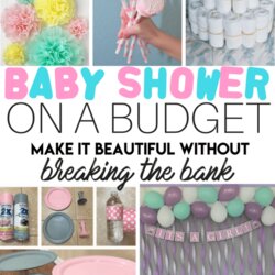 Outstanding How To Throw Beautifully Budgeted Baby Shower Swaddles Bottles Party Budget Cheap Boy Simple