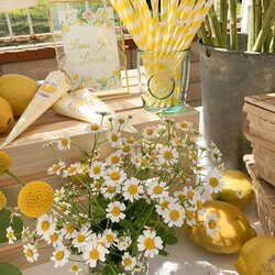 Brilliant Lovely Spring Baby Shower Themes Decor Ideas Themed Lemon