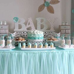 Capital Welcome Home Baby Owl Shower Ideas Themes Games Party Decorations Boy Table Boys Spring Teal Dessert