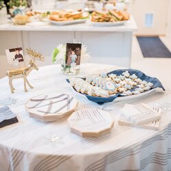 The Highest Quality Tips On Hosting Baby Shower At Home Poor Little It Girl Hannah Michelle Photography