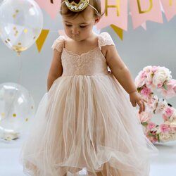 Superb Dusty Coral Blush Flower Girl Dress Dresses Girls Birthday Outfit Baby Toddler Gown Tulle Infant Tutu