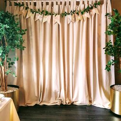Swell Baby Shower Backdrop For Pictures