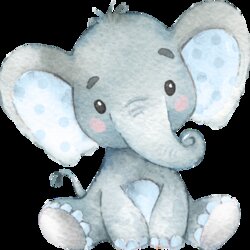 Sterling Elephant Baby Boy Shower Invitations Nursery
