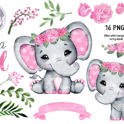 Great Pink Floral Girl Elephant Baby Shower Images Set By