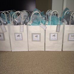 Baby Shower Gift Bags For Guests Jewelry Pouches Favor