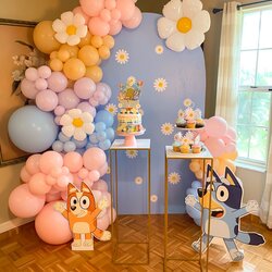 Terrific Birthday Party For Girl Decorations Second