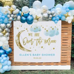 Wonderful Baby Shower Decorations Ideas For Boys Screen Shot At Pm