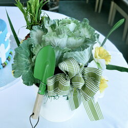 Admirable Celebrations Peter Rabbit Baby Shower Celebrate Decorate Garden Cabbages Pails Carrots Artificial