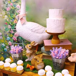 Wizard Peter Rabbit Baby Shower Party Ideas Photo Of Catch My