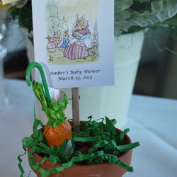 Superior Celebrations Peter Rabbit Baby Shower Celebrate Decorate Favors Flower Seeds Chloe Party Decorations