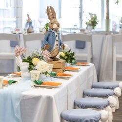 Out Of This World Peter Rabbit Baby Shower Styling Arbour Trees Concept Event Next