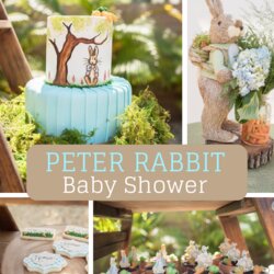 Eminent Party Ideas Peter Rabbit Baby Shower May Kara Via