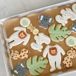Baby Shower Cookies Ideas For Decorated Treats Safari Scaled