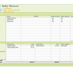 Baby Shower Planner Template Excel Templates