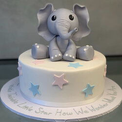 Supreme Cute Little Elephant Cakes Reveal Gender Tyrone Vincent