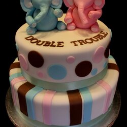 Elephant Cake Shower Baby Twins Twin Sayings Cakes Double Theme Boy Babies Girl Boys Themes Gender Showers