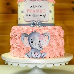 Two Tier Baby Shower Cake With Hand Painted Peanut Sign Cakes Elephant Visit Girl