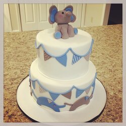 The Highest Standard Cakes By Becky Elephant Baby Shower Cake Fondant