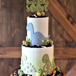 Cool Charity Cake Design Baby Dinosaur Shower Post Events Special Navigation Showers