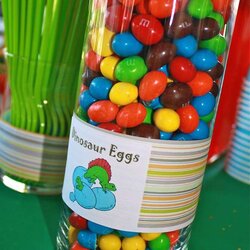 Perfect Adorable Dinosaur Baby Shower Theme Ideas Dino Party Birthday Dinosaurs Food Eggs Catch Candy Favors