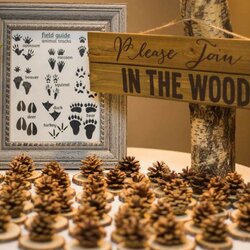 Sterling Plan The Ultimate Woodland Baby Shower Cheers And Confetti Blog By Acorn