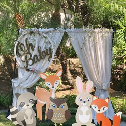Marvelous Woodland Baby Shower Decor Kit Theme Animals Forest Animal Personalized Painting Decorations Themes