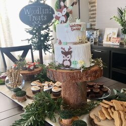Super Twins Baby Shower Woodland Rachael Babies Theme Showers Decorations Table Twin Adventure Creatures