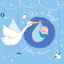 Wizard Boy Baby Shower Guest Book And Stork Sign In