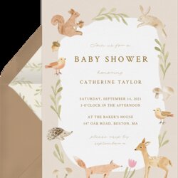 Matchless Virtual Baby Shower Invitation Wording Celebrate With Fun Phrasing