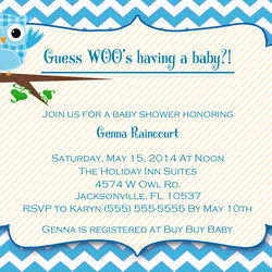 Legit Funny Baby Shower Invitations Desktop Background Boy Wallpaper Owl Invitation Backgrounds Patterns Pink