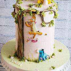 Superlative Easy Winnie The Pooh Cakes You Can Make At Home Shower Baby Cake Birthday Au Choose Board