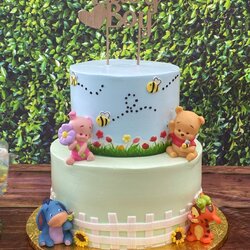 Supreme Winnie The Pooh Cake Baby First Birthday