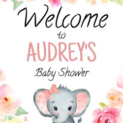 Great Baby Shower Welcome Sign Template Printable Editable