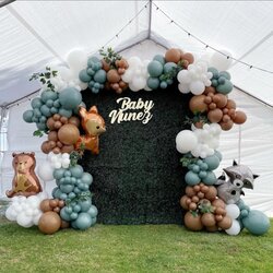 Wizard Woodland Baby Shower Balloon Arch Kit Themed
