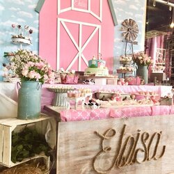 Superior Party Ideas Farm Girl Baby Shower Birthday Pink Animal Barnyard Table Girls Theme Themes Cowgirl