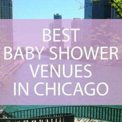 Eminent Amazing Baby Shower Venues In Chicago Darling Celebrations