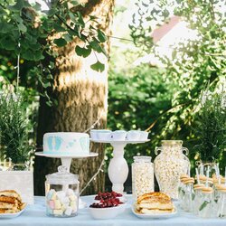 Unique Baby Shower Venues In Houston The Bash Quality