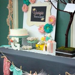 Admirable Cute Low Cost Decorating Ideas For Baby Shower Party Amazing Decor Decorations Decoration Girl Easy