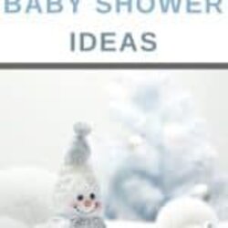 Superb December Baby Shower Ideas Perfect