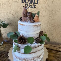 Superior We Can Wait Baby Shower Cake Woodland Creatures