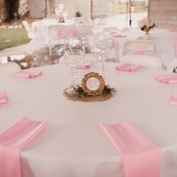 Super Pink And Gold Baby Shower Ideas Family Photo Party Tiffany